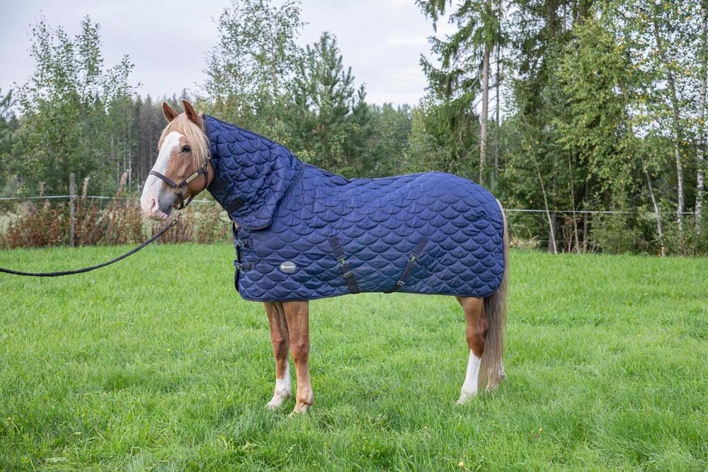 Talliloimi Brian 250 g fullneck tummansininen