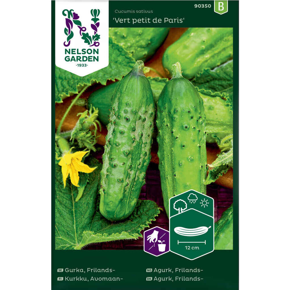 Avomaankurkku, Vert Petit de Paris