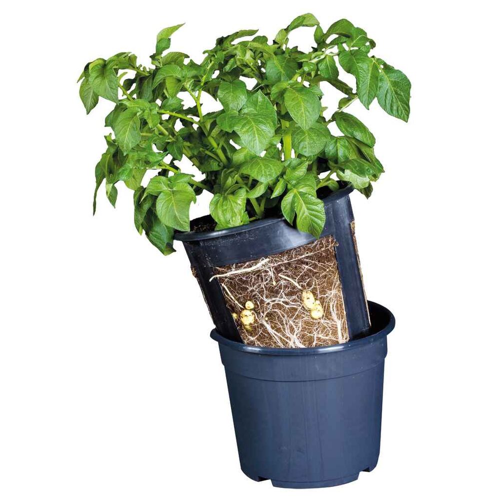 Perunanviljelyruukku Potatopot