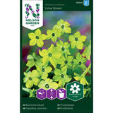 Koristetupakka, 'Lime Green'