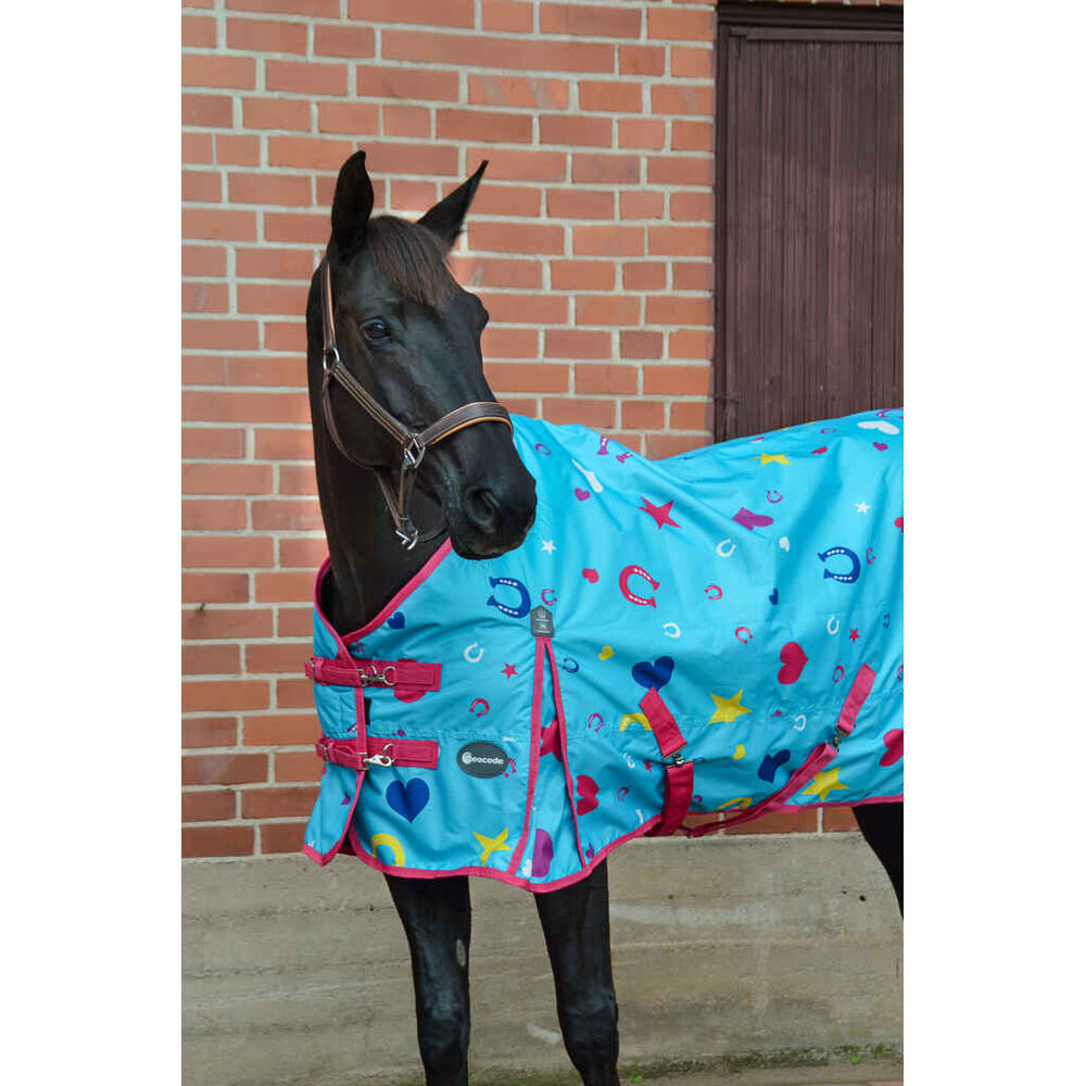 Sadeloimi EQCode Rufus 100g ponille turkoosi