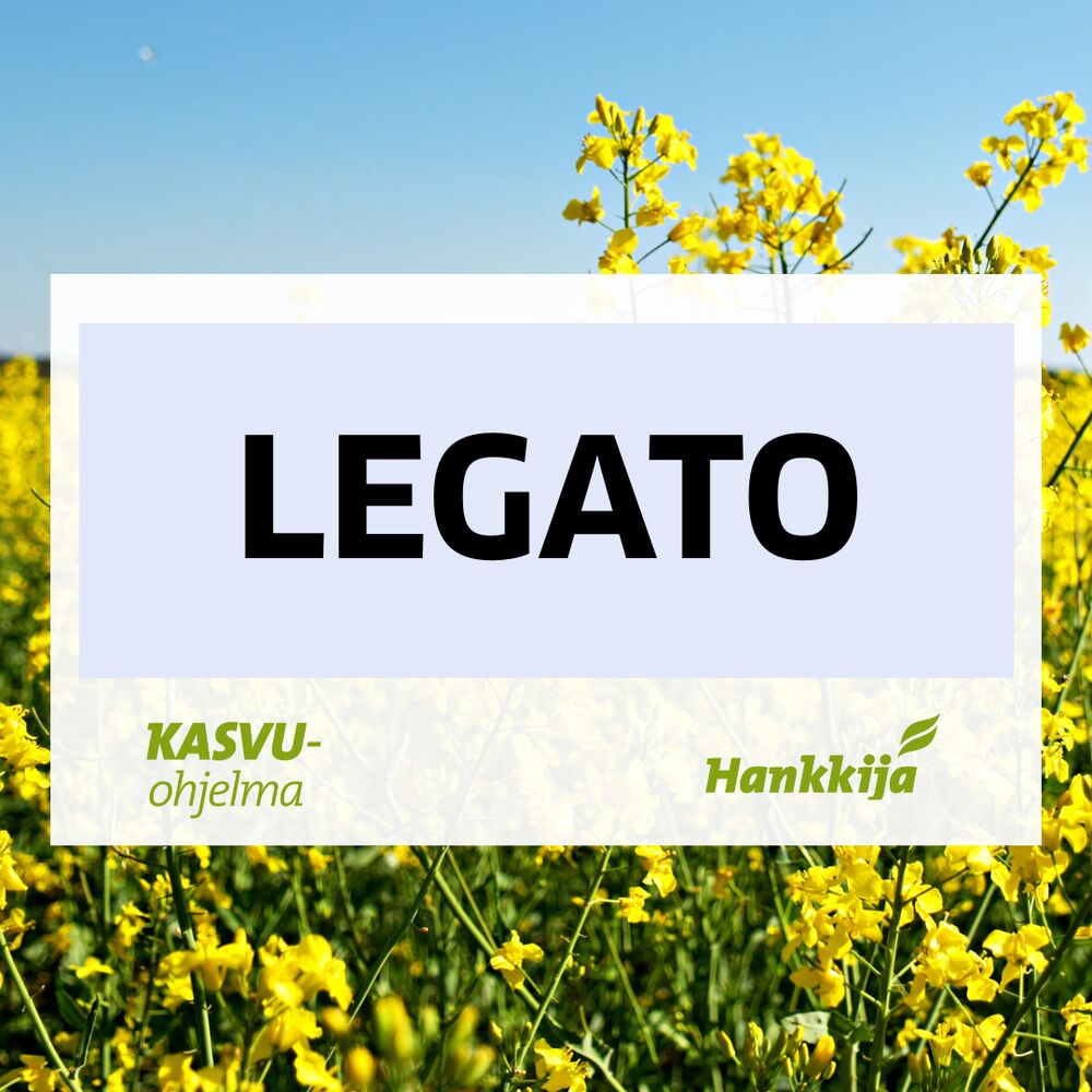 LEGATO SYYSRYPSI