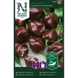Havannapaprika, 'Habanero Chocolate'