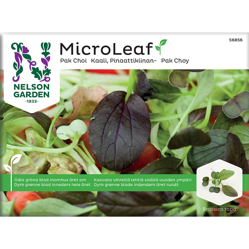 Micro Leaf pinaattikiinankaali Nelson