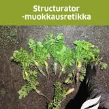 Structurator -muokkausretikka 25 kg