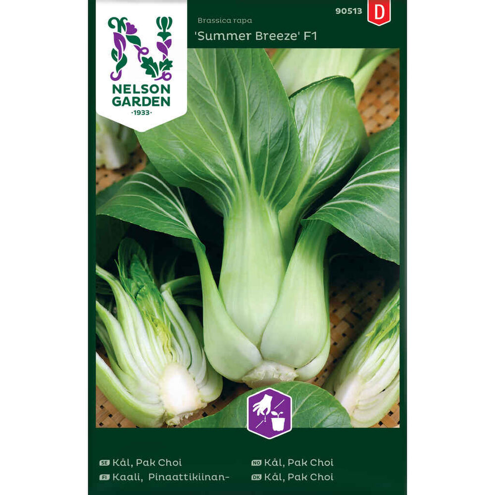 Pinaattikiinankaali Summer Breeze F1