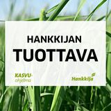 Hankkijan Tuottava peltonurmiseos 500 kg