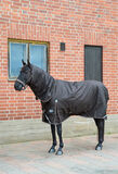 Talviloimi EQCode Dima fullneck  300g tummanruskea