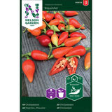 Chilipaprika, 'Biquinho'