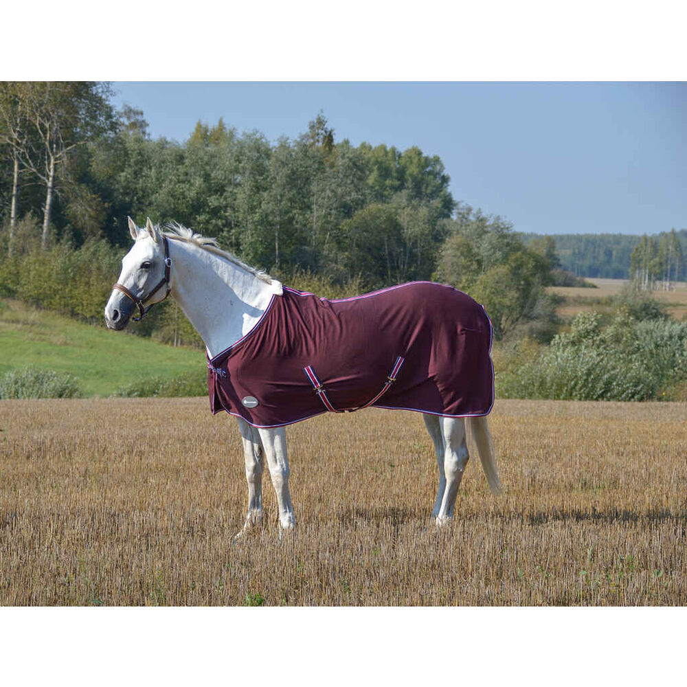 Fleeceloimi EQCode Softy viininpunainen