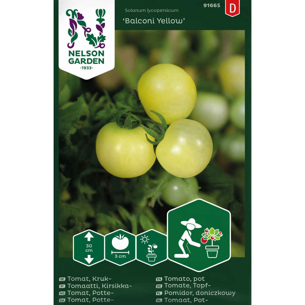 pensastomaatti 'Balconi Yellow'