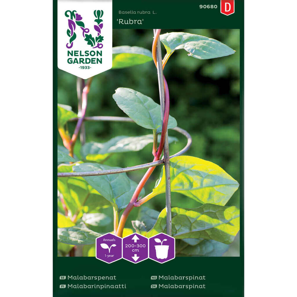 Malabarinpinaatti NEL90680