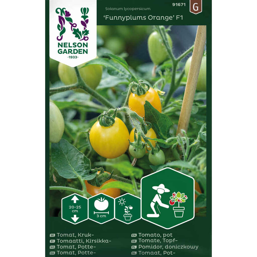 pensastomaatti 'Funnyplums Orange' F1