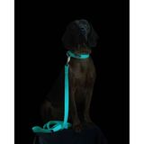 Talutin PAIKKA Glow 180 cm