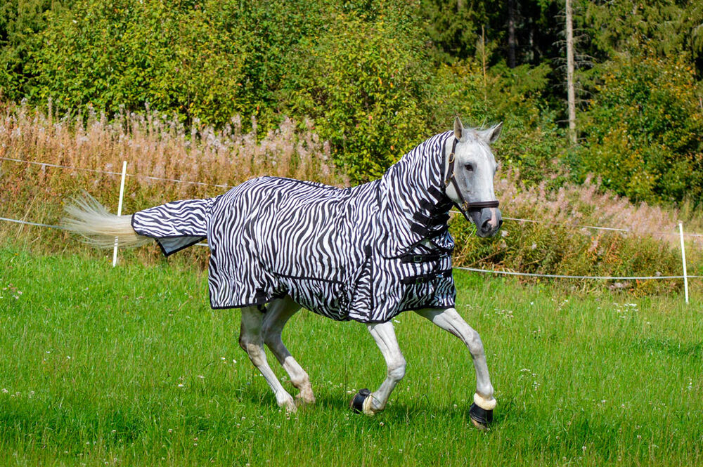 Hyönteisloimi EQCode zebra