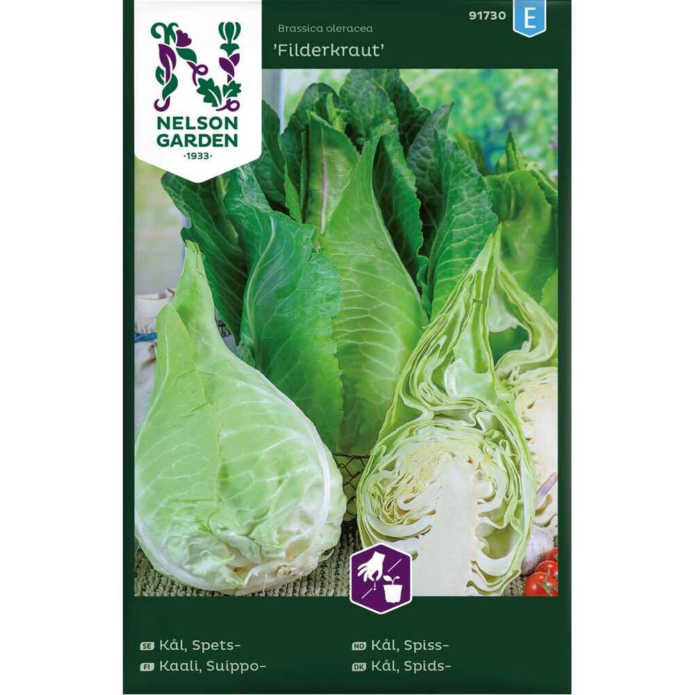 Suippokaali 'Filderkraut'