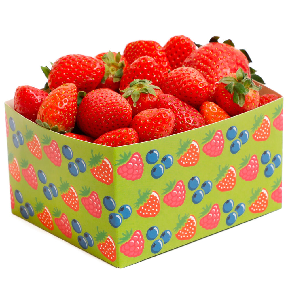 Rasia kartonki 500g